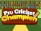 Pro Cricket Champion เกมออนไลน์