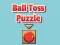 Ball Toss Puzzle เกมออนไลน์