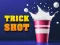 Trick Shot World Challenge เกมออนไลน์