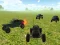 Buggy Simulator Sandbox 3D เกมออนไลน์