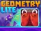 Geometry Lite เกมออนไลน์