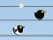 Gone with the Birds เกมออนไลน์