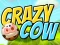 Crazy Cow เกมออนไลน์