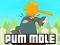 Pum-Mole เกมออนไลน์