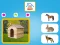 Who Lives Here เกมออนไลน์