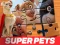 DC League of Super Pets Jigsaw Puzzle เกมออนไลน์