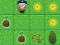 Magic Seeds เกมออนไลน์