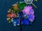 Hidden Stars เกมออนไลน์