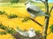 Birds Of Prey Puzzle เกมออนไลน์