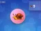 Snail Clicker เกมออนไลน์