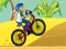 BMX Boy Online เกมออนไลน์
