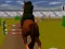 Jumping Horse 3d เกมออนไลน์