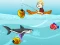 Novice Fisherman เกมออนไลน์