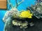 Big fish eats small เกมออนไลน์
