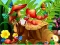 Hidden Objects Insects เกมออนไลน์