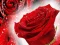 Red Roses เกมออนไลน์