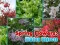 Spring Flowers: Hidden Objects เกมออนไลน์