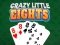 Crazy Little Eights เกมออนไลน์