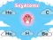 SkyAtoms เกมออนไลน์