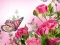 Butterflies Puzzle เกมออนไลน์