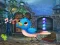 Singing Bird Escape เกมออนไลน์