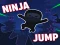 Ninja jump เกมออนไลน์