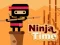 Ninja Time เกมออนไลน์
