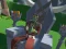 Lazy Orcs: Arena เกมออนไลน์