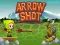 Arrow Shoot เกมออนไลน์
