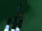 Spacecraft II เกมออนไลน์