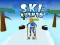 Ski Rush 3d เกมออนไลน์