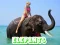 Elephants Puzzle เกมออนไลน์