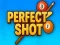 Perfect Shot เกมออนไลน์