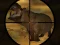 Classical Hippo Hunting เกมออนไลน์