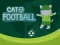 Cat Football เกมออนไลน์