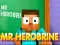 Mr Herobrine เกมออนไลน์