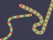 Slither Classic เกมออนไลน์
