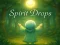 Spirit Drops เกมออนไลน์