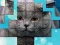 PicPu Cat เกมออนไลน์