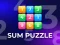 Sum Puzzle: Arithmetic เกมออนไลน์