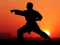 Karate Sunset Warriors เกมออนไลน์