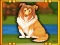 Bernese Mountain Dog Escape เกมออนไลน์