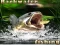 Backwater Fishing เกมออนไลน์