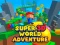 Super 3d World Adventure เกมออนไลน์