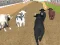 Angry Bull Racing เกมออนไลน์