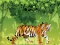 Angry Tiger Coloring เกมออนไลน์