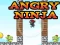 Angry Ninja เกมออนไลน์