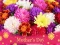 2019 Mother's Day Puzzle เกมออนไลน์