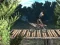 Bike Trial Xtreme Forest เกมออนไลน์