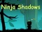 Ninja Shadows เกมออนไลน์
